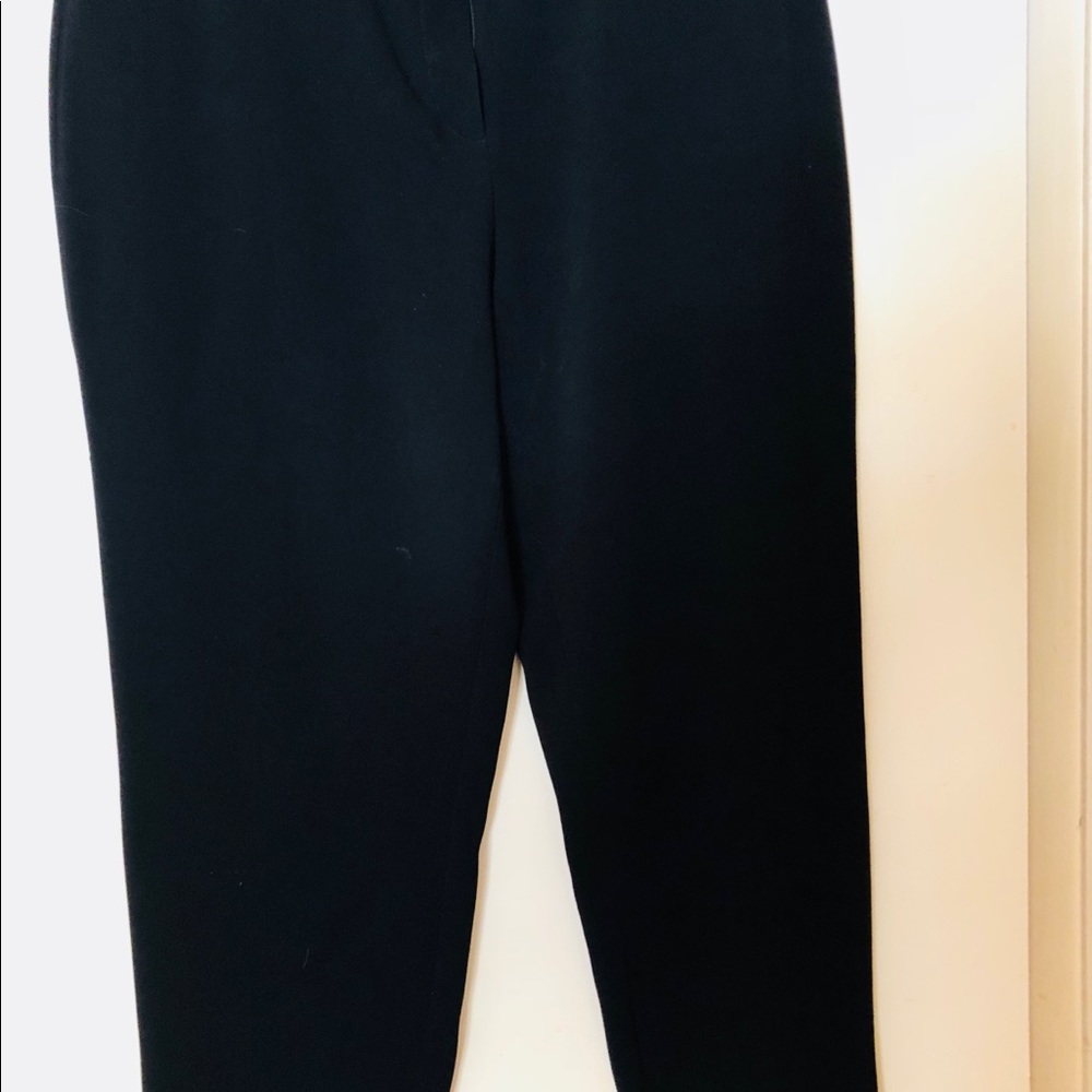 Dressy pants